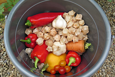 Bountiful Harvest: Peppers, Ground Cherries, Garlic, Carrot, Tomatoes