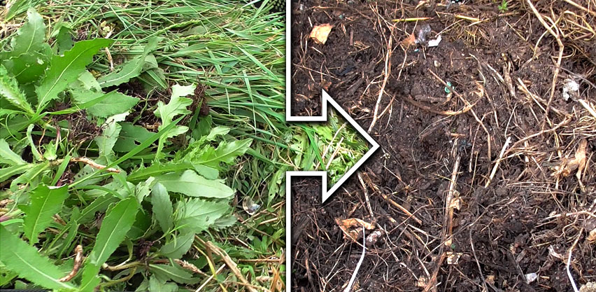 Composting Garden Weeds & Grass Clippings Into Organic Compost Fertilizer