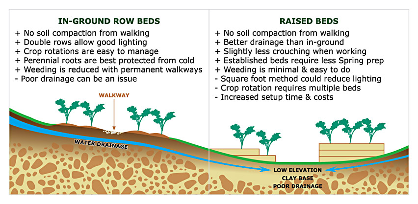 DIAGRAM: In-Ground Row Beds vs Raised Beds Pros & Cons