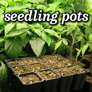 Pepper & Tomato Seedlings Growing Indoors with Cell Tray