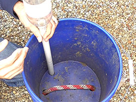 Tutorial Self-Watering 5 Gallon Bucket Final Assembly