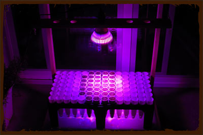 24w Apollo LED Grow Light For Seed Starting