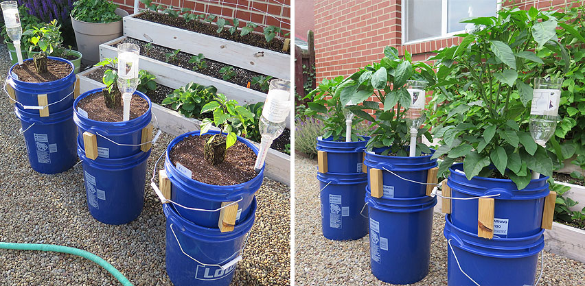 5 Gallon Bucket Garden Planters with Water Reservoir Growing Vegetables