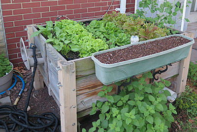 Albo-grow Box - Self Watering Garden Box