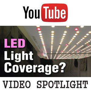 Apollo UFO vs HHE COB LED Grow-Light Experiment (Hydroponic Lettuce) -YouTube