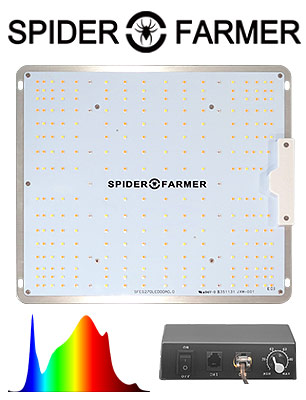 Spider Farmer SF-1000 Quantum LED Grow Light Product Review