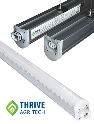 Thrive Agritech Infinity Linear LED Grow Lights Product Review
