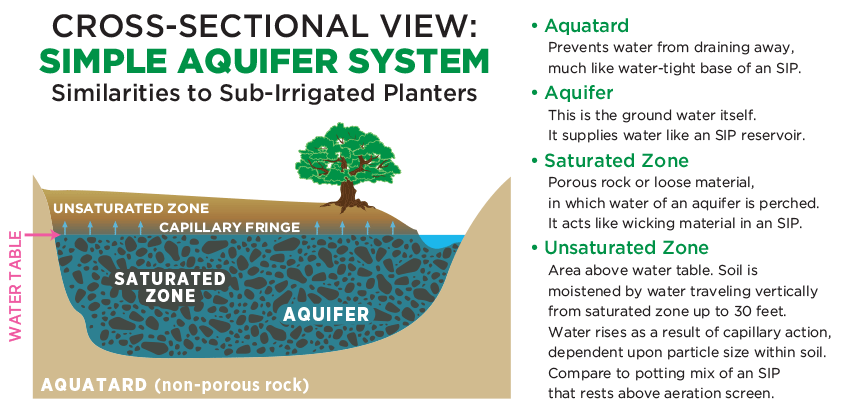 Aquifer - Natural soil capillarity waters through sub-irrigation
