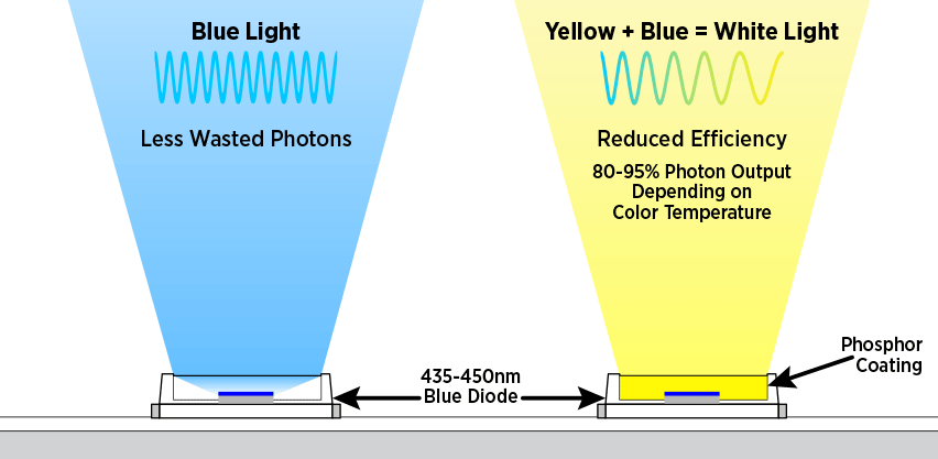 Blue LED Diode with Phosphor Coating for Full Spectrum Light