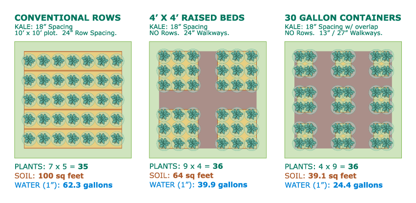 Conventional Rows vs Raised Beds vs Containers