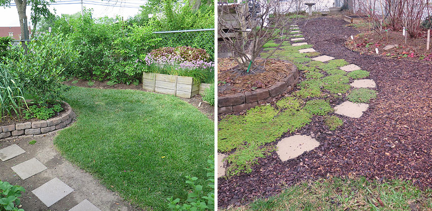 Grass Lawn Removal with Cardboard & Wood Mulch Suppression