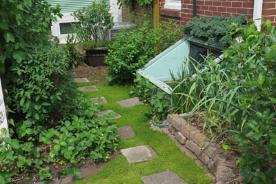 Ground Cover Plants Between Stepping Stones in Edible Landscape Garden