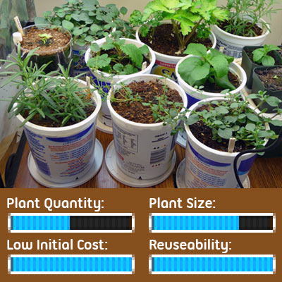Seed Starting Options - Herb Seedlings Grown in Reclaimed Food Containers