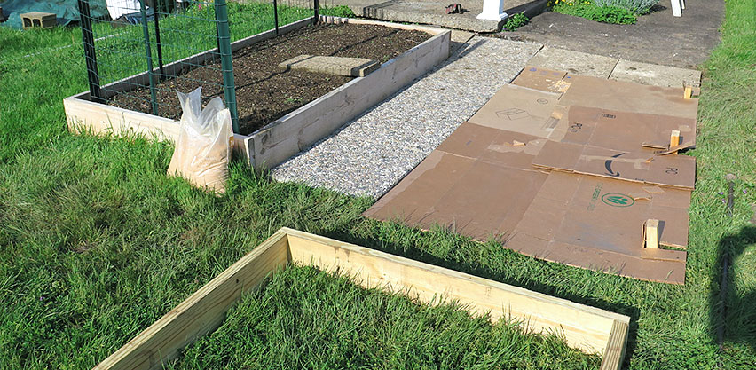 Installing Wooden Raised Bed Over Grass Lawn Using Cardboard as Barrier for Weed Suppression