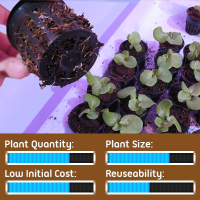 Seed Starting Options - Lettuce Seedlings Grown in Hydroponic Net Pots