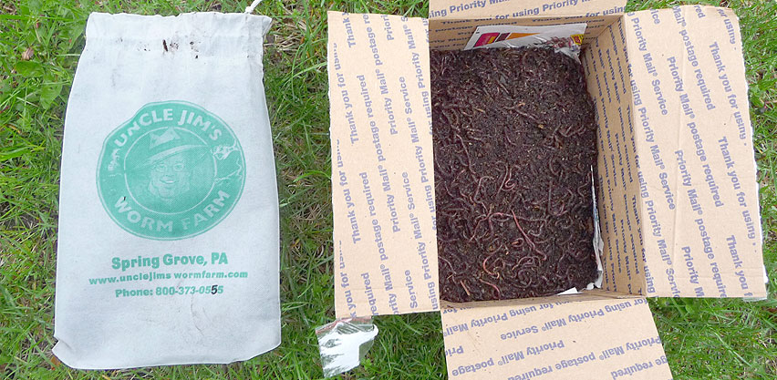 Mail Order Red Wiggler Composting Worms from Uncle Jims Worm Farm