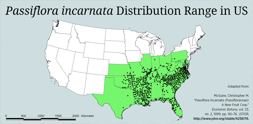 Maypop Passiflora incarnata native distribution range in America map