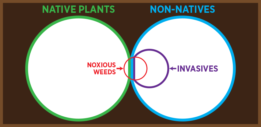 Chart Native Plants vs Non-natives vs Invasives vs Noxious Weeds