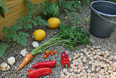 Pesticide-Free Healthy Garden Vegetables