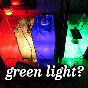 Red, White, Blue, Green LED Lights -Experiment Test
