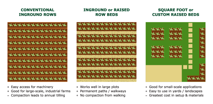 Conventional Rows vs Row Beds vs Raised Beds