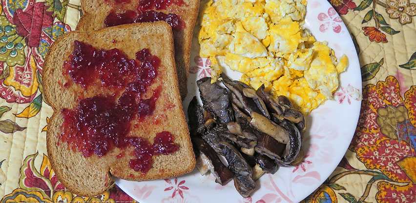 A delicious plate of sautéed wine caps with tofu scramble, toast and jam