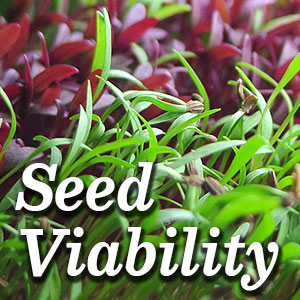 Seed Viability: How Long do Seeds Last?