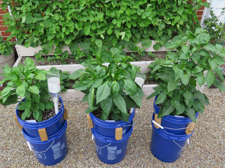 Enlarging Plant Pots : growing up planter