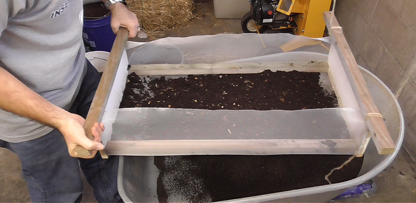 Sifting Large Volume of Worm Castings into Wheelbarrow