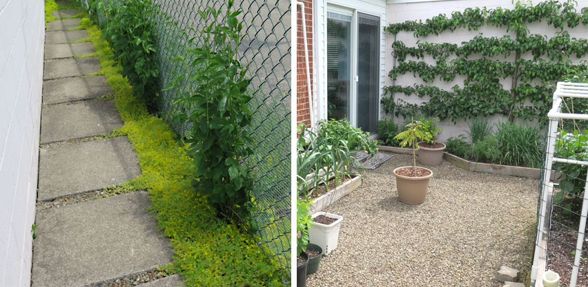 Using Pea Gravel or Patio Blocks to Maintain Weed-free Walking Spaces