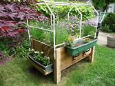 Albo-grow Box - Chive flowers & annual flowers